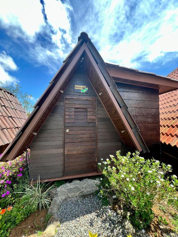 Casa Tucan Glamping Ξενοδοχείο Τουριάλμπα Εξωτερικό φωτογραφία